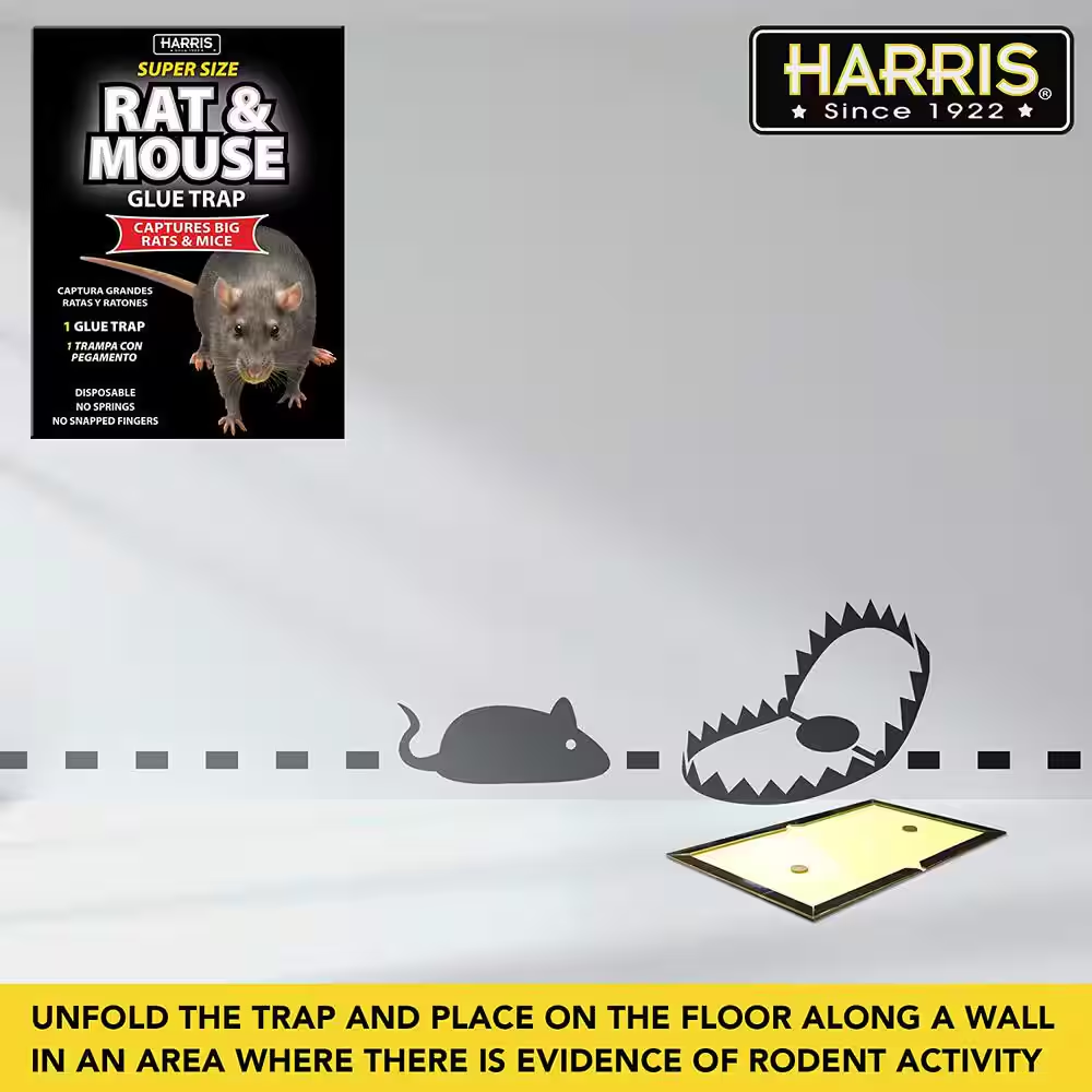 Harris Rat and Mouse Glue Trap Super-Size Easy to Use Fully Disposable (10-Pack)