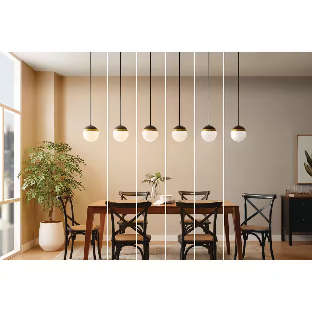 100-Watt Equivalent A19 E26 Base Dimmable LED Light Bulb with Selectable Color T