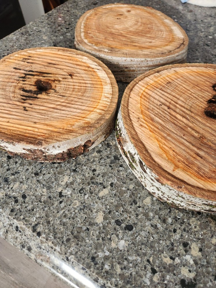 White Birch Log - Live Edge