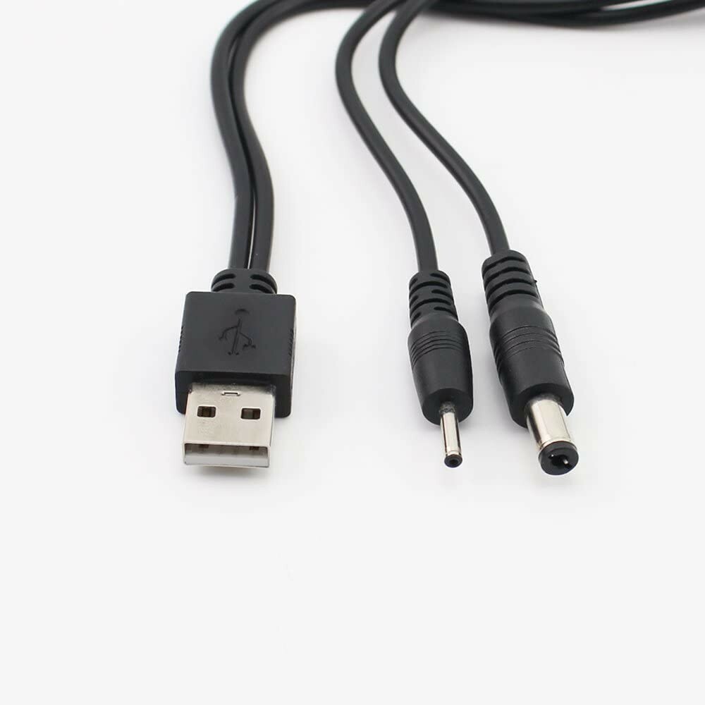 Wall charger with dual charging cable for dog training system