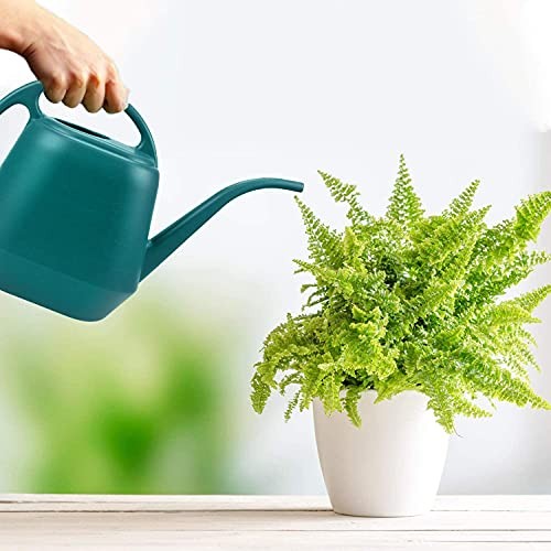 Plastic Watering Can, 1-Gallon, Green