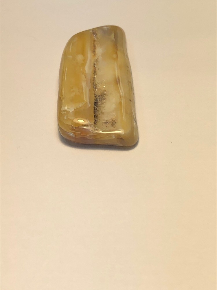 Yellow Petrified Wood. 18g