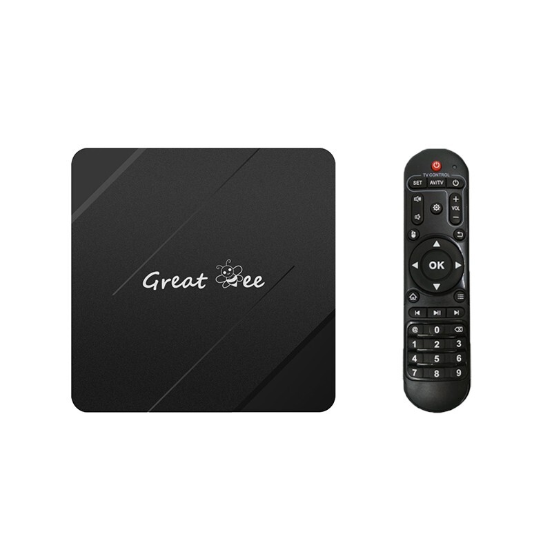 Android 10 Allwinner H313 2G 16G TV Box Remote Controller for Arabic