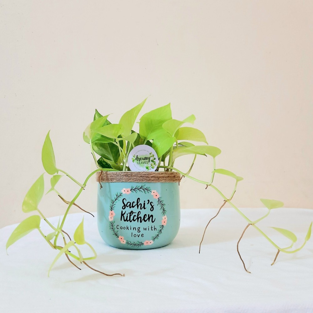 Custom Hand-Painted Planter with Personalized Wording – Kitchen Decor