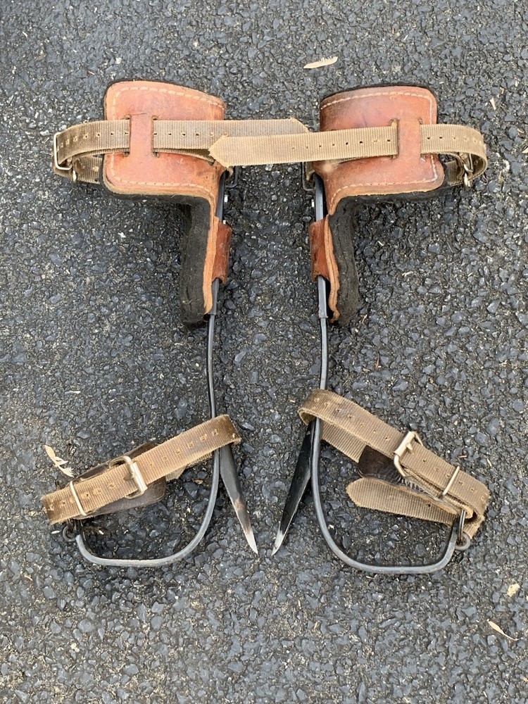 Buckingham Tree Climbing Spikes