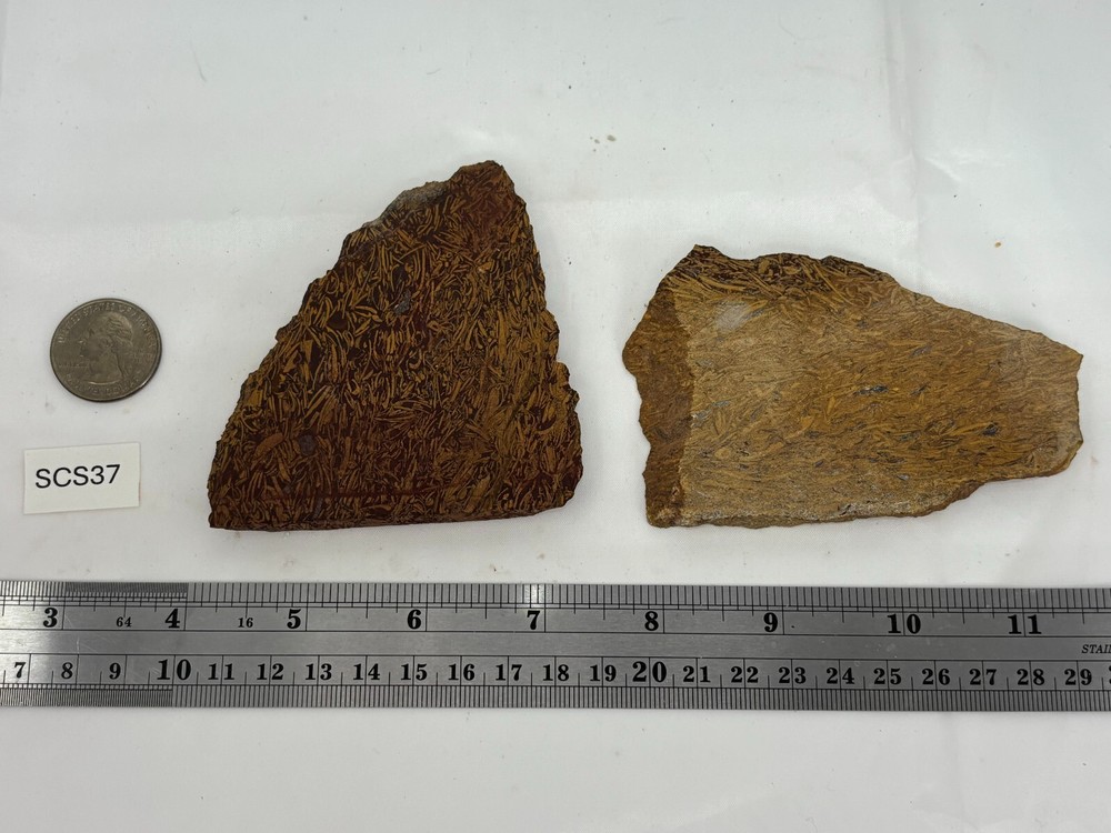 Script Stone Jasper Slabs Cabbing Lapidary Collecting Combo Ship Avail