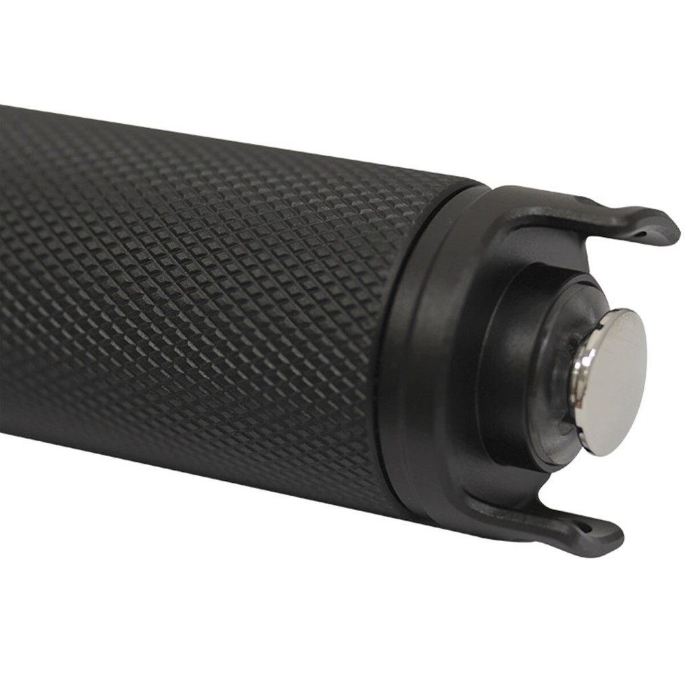 BigBlue 450 Lumen Mini Dive Light with Batteries and Tail Switch