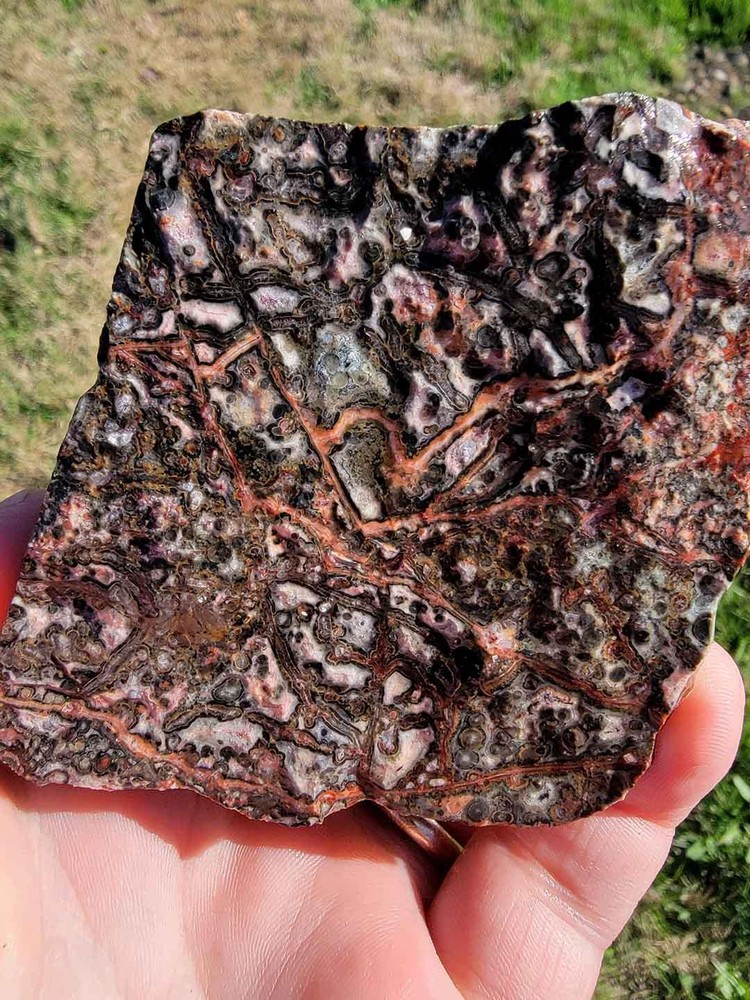 Random Pull Mexican Leopard Skin Rhyolite Rough!