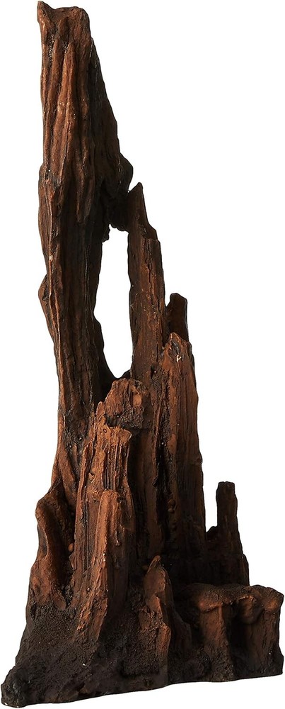 Petrified Wood - Large