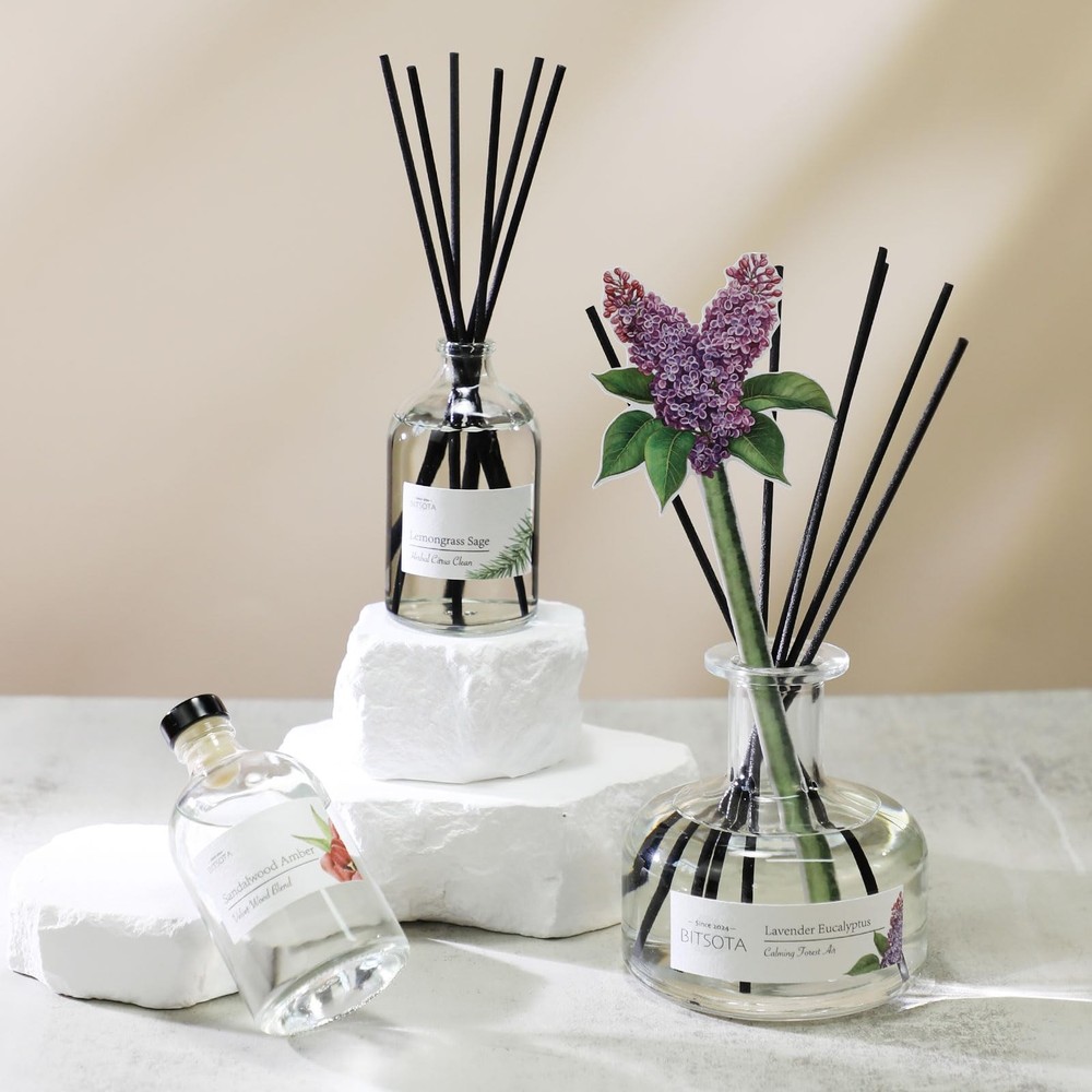 BITSOTA Reed Diffuser Set, Aroma Scented 3.52 oz (100ml), Transparent