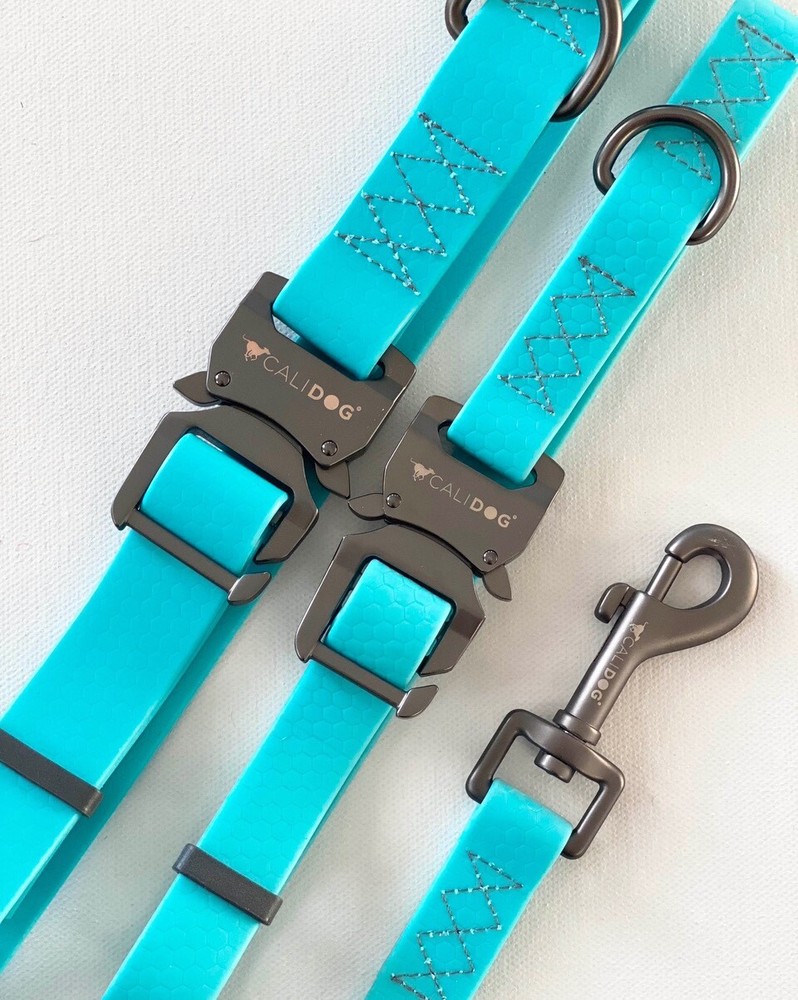 CALIDOG Aquamarine Waterproof Leash and Collar Set.