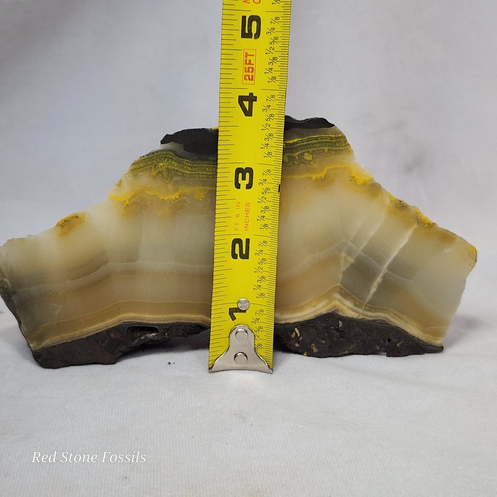 Black and Yellow Jasper Slab