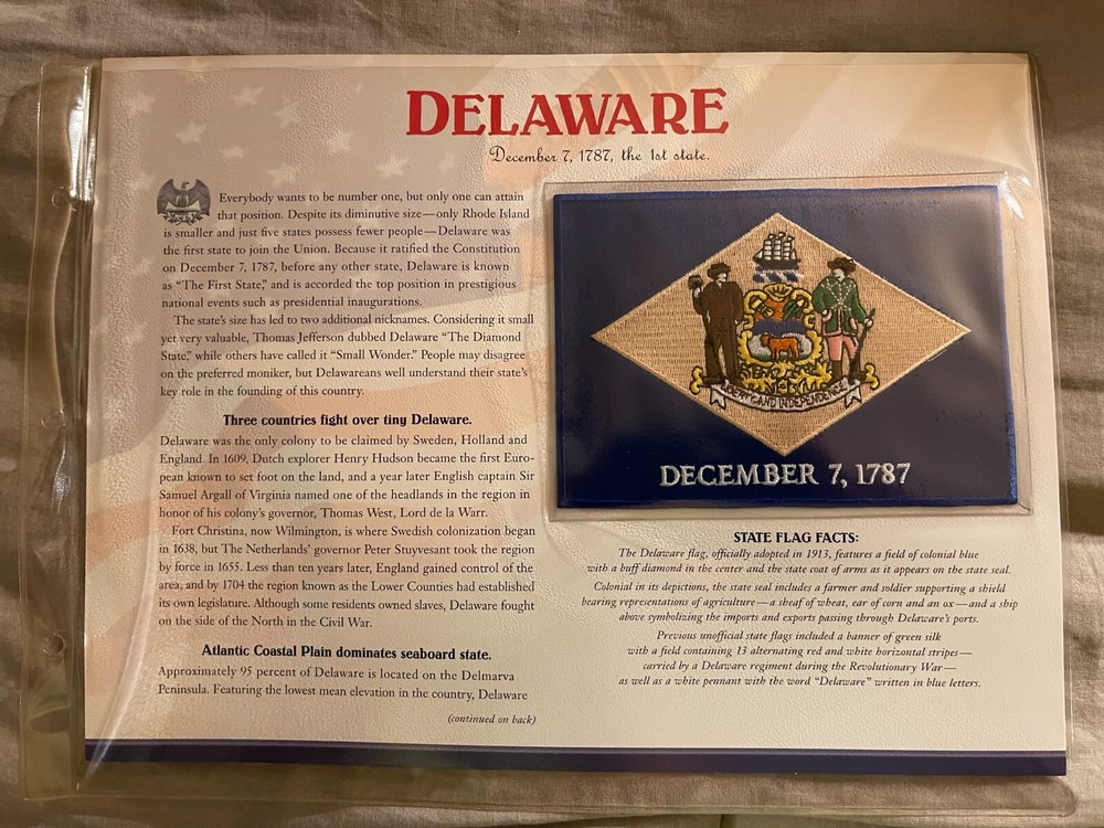 WILLABEE & WARD FLAG PATCH PANE ****DELAWARE