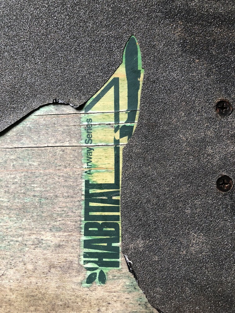 Vintage Fred Gall Skateboard