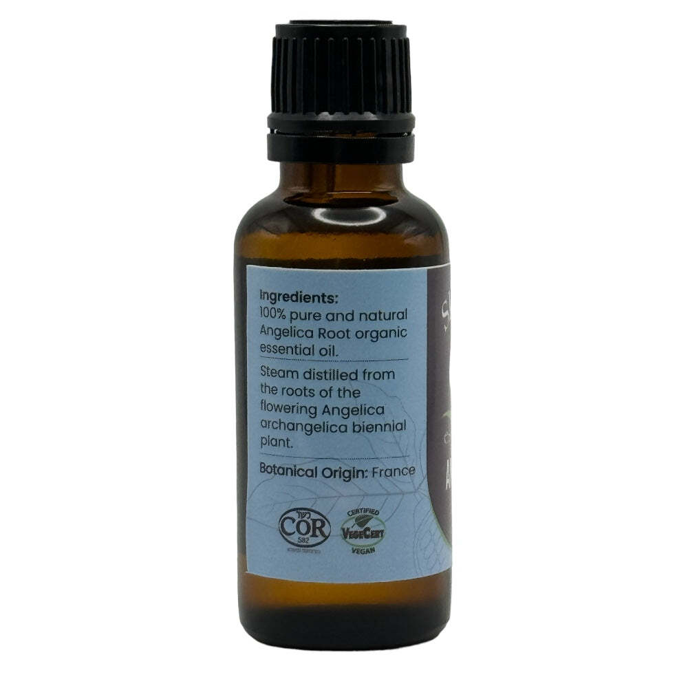 Angelica Root Essential Oil - 100% Natural