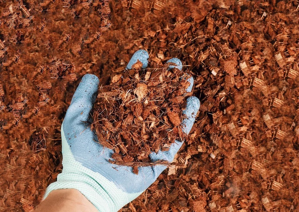 Organic Coconut Husk Chips for Gardening