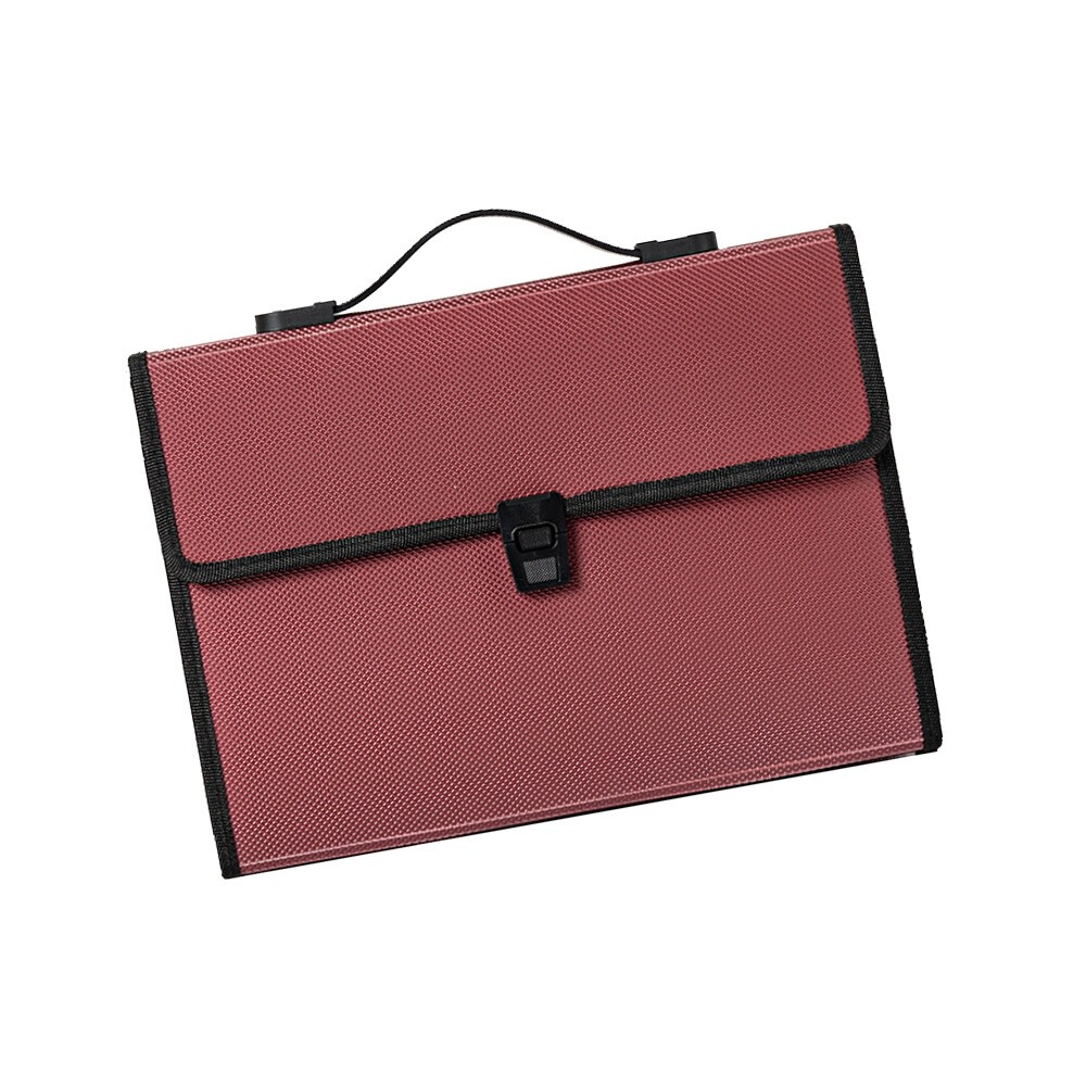 Folding File Folder Organizer Extended with According for A4 size Documents╏