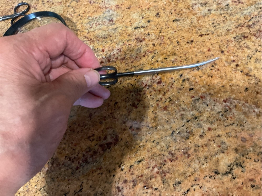 Curved Scissors Mailed First Class