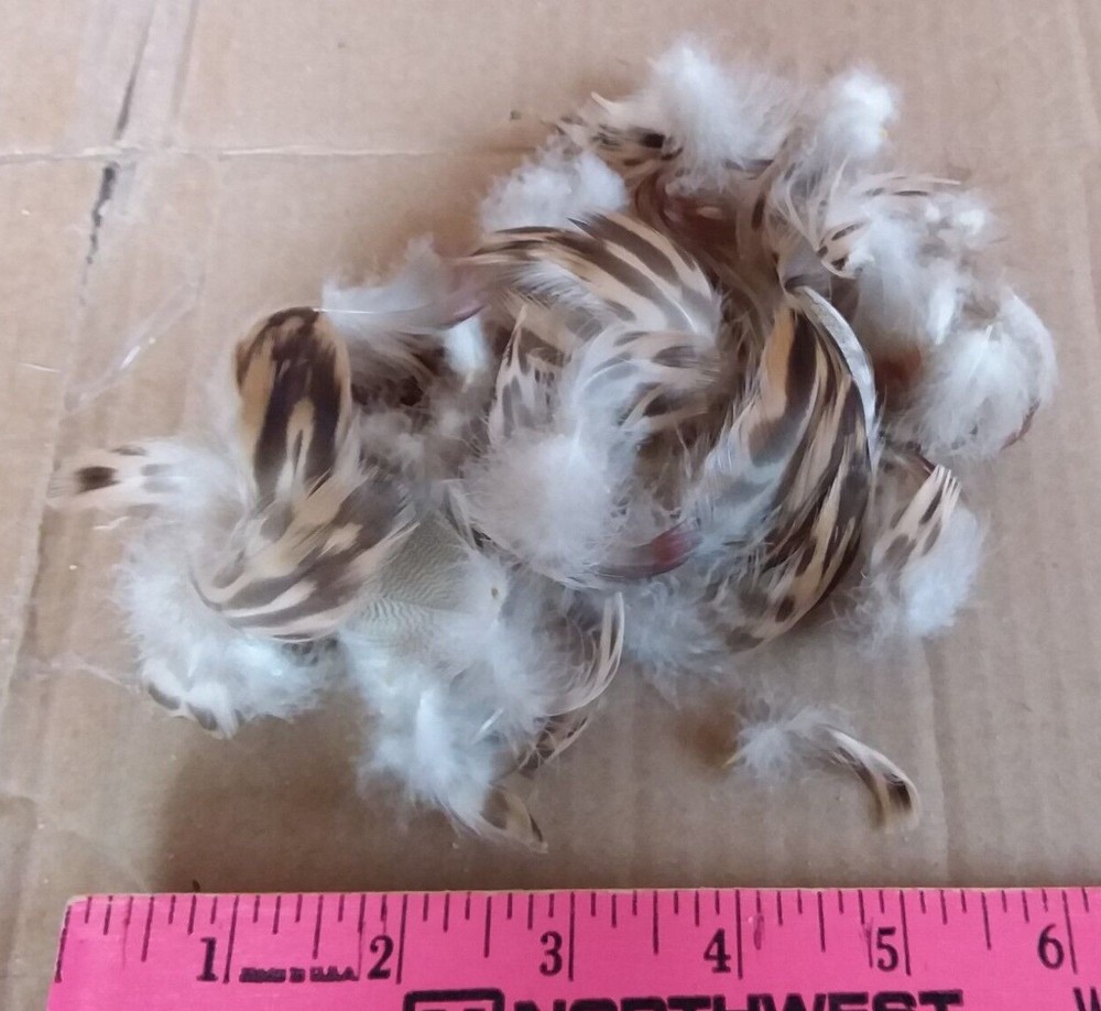 Fly Tying Flank Feathers - NOS