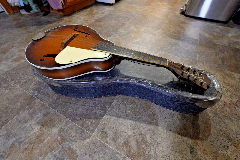 Vintage Silvertone Mandolin -