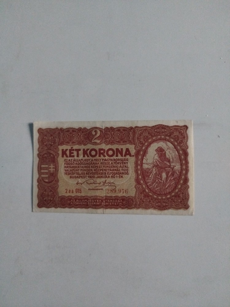 Hungarian 2 Korona 1920