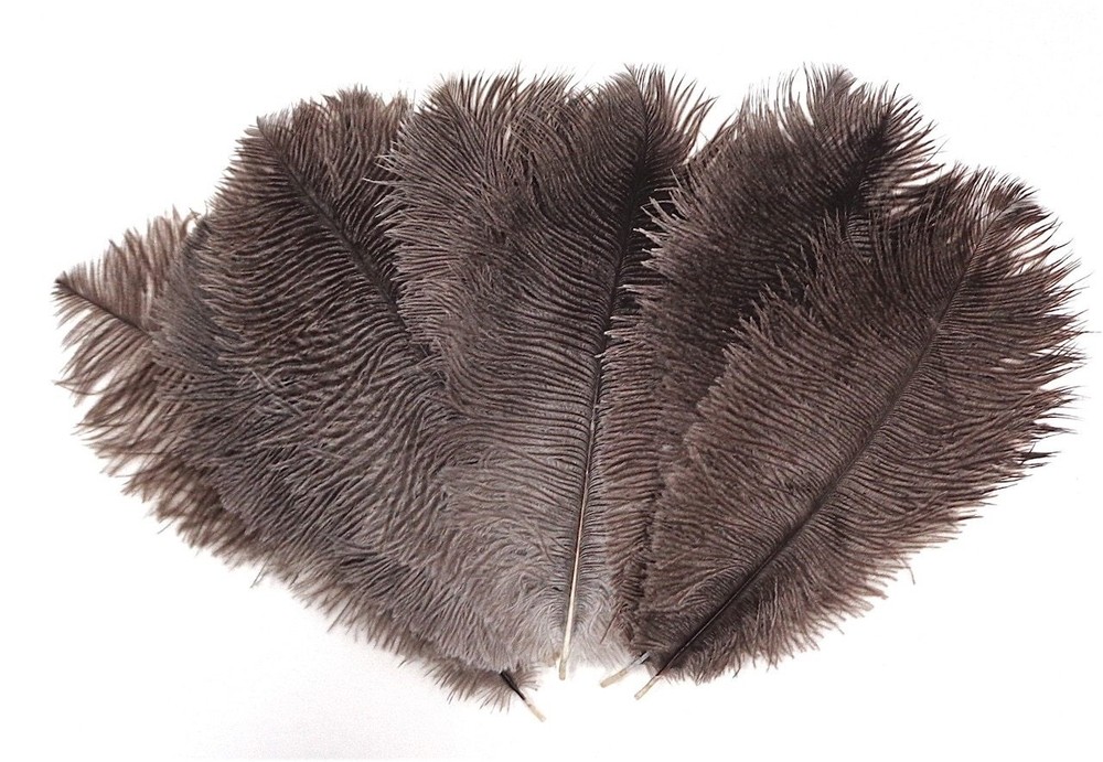 Natural Mini Ostrich Feathers 5-8 Inch per 24