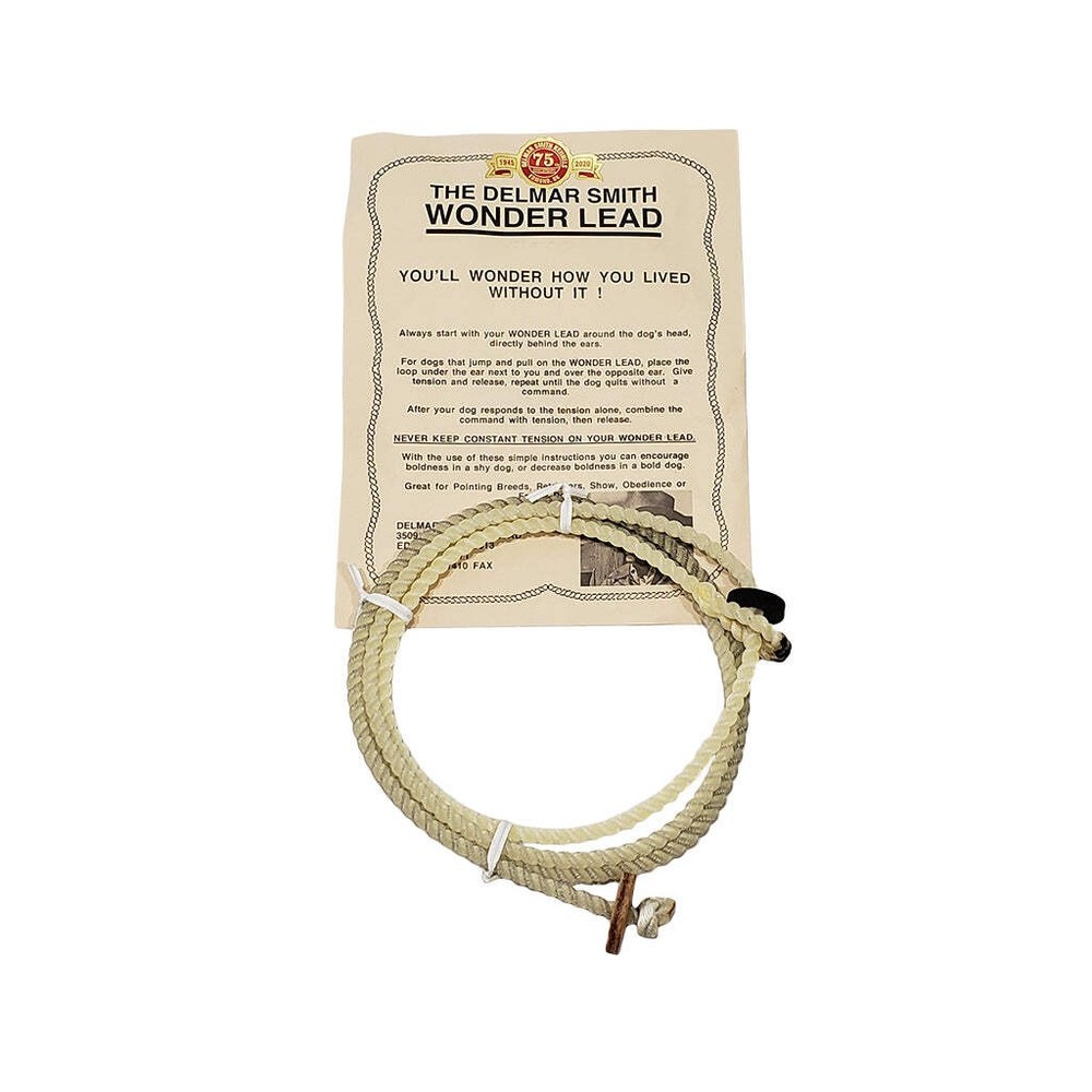 Delmar Smith Wonder Lead