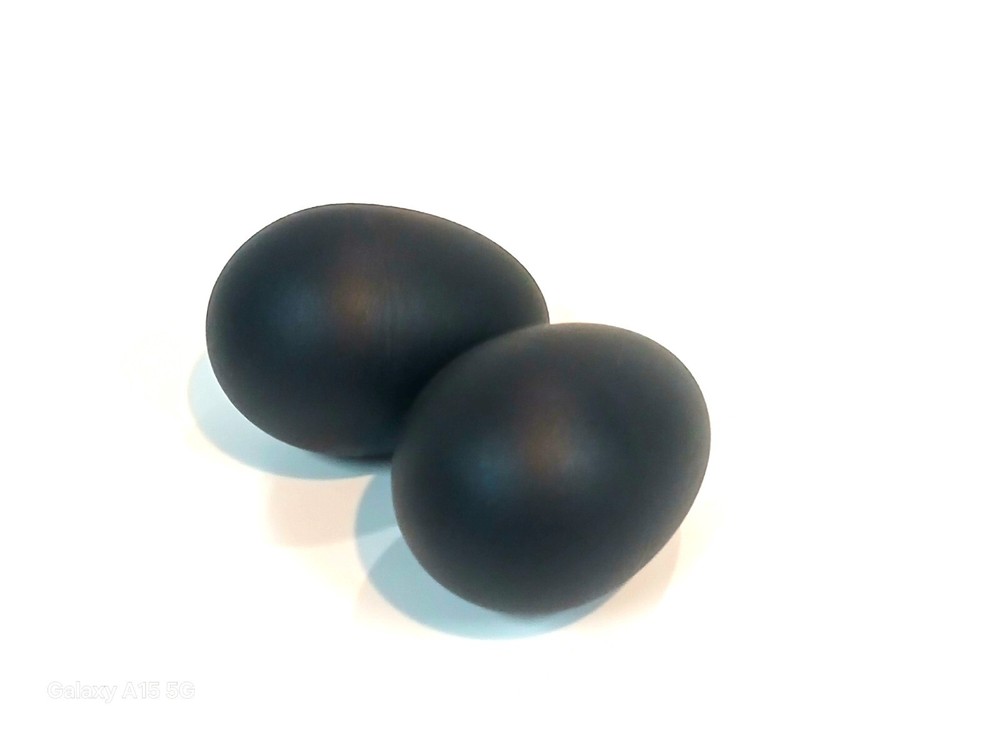 STADIUM BLACK SOUND EGGS SHAKER PAIR