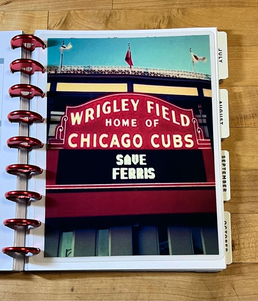 Save Ferris Two Sided DASHBOARD for use with Classic Happy Planner-