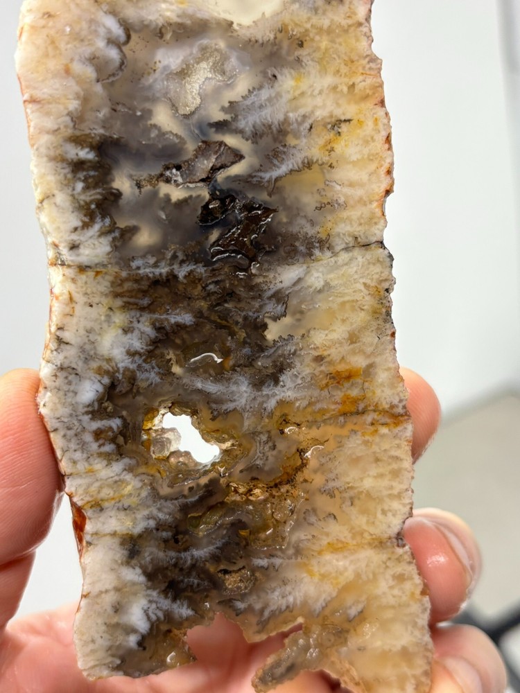 Plume Agate slab Cabbing Lapidary Combo Ship Avail Oregon