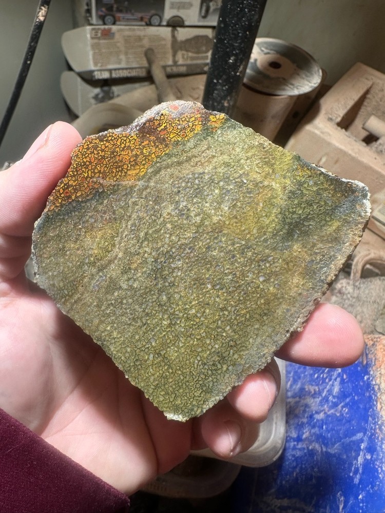 Dinosaur bone rough **hxtled slab.