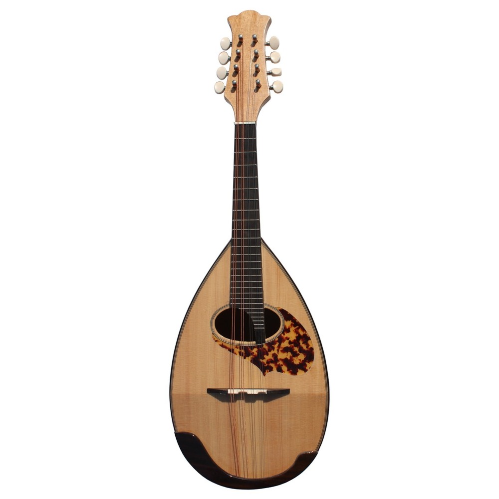 Bowl back Mandolin Solid Spruce Top Stringed instrument