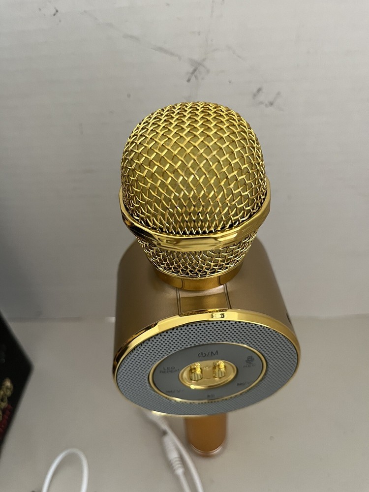 Handheld Ktv WS-668 Karaoke Microphone Plus Voice Controller TESTED WORKING