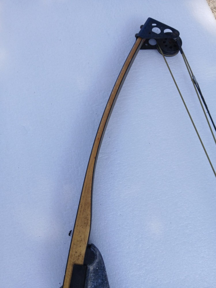 Darton Trailmaster Compound Bow