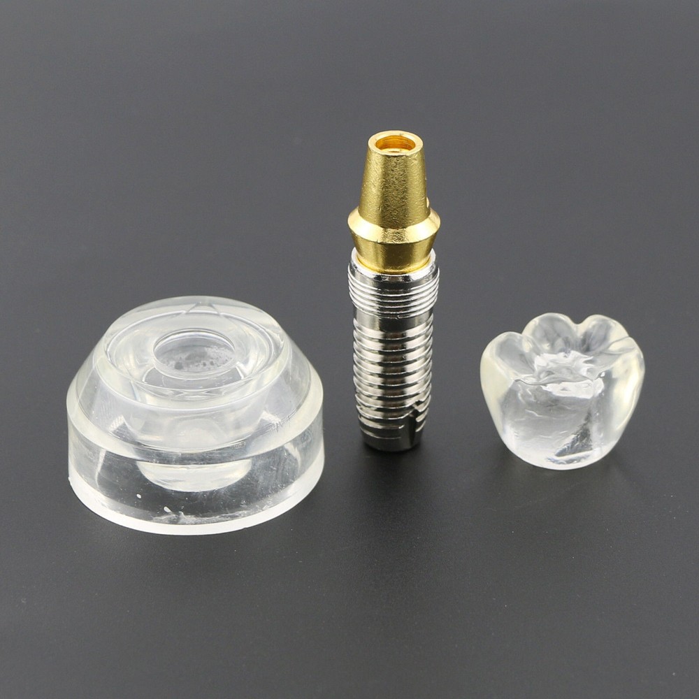 Dental Implant DemonstrationTeeth Study Teach Crown Model Acrylic Teeth Study