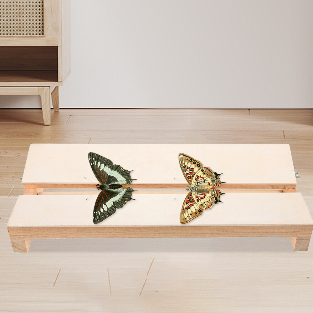 Insect Pinning Board Specimen Display Board Adjustable Labs Board for Education