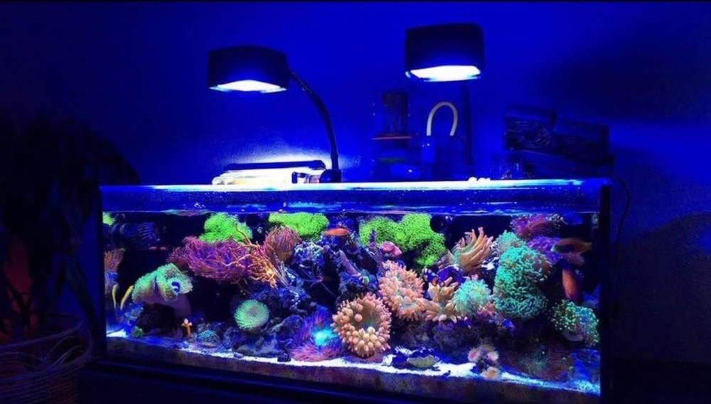 AquaIllumination 16HD  - Black 2x