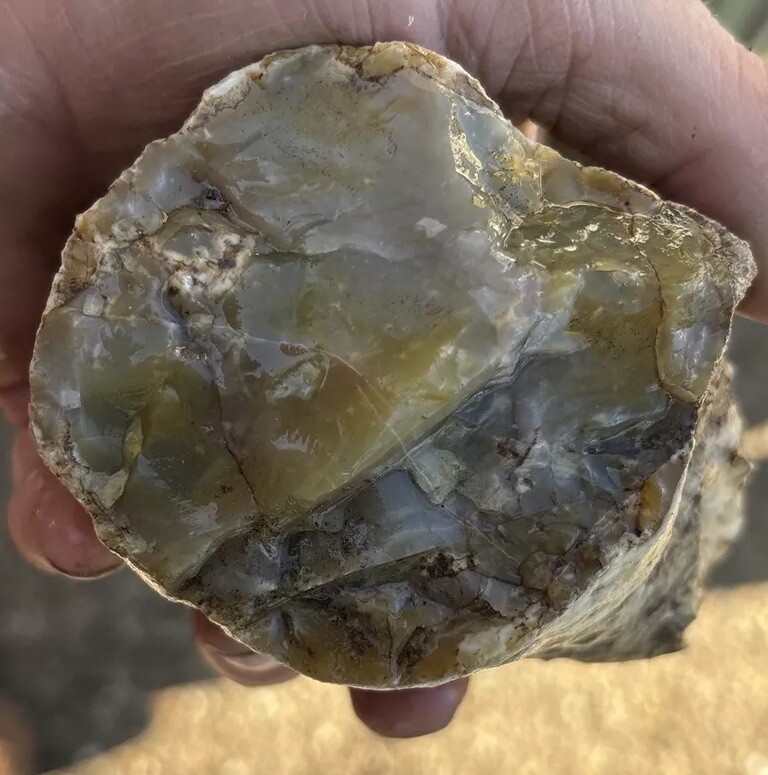 Silver Creek Junction Petrified Wood