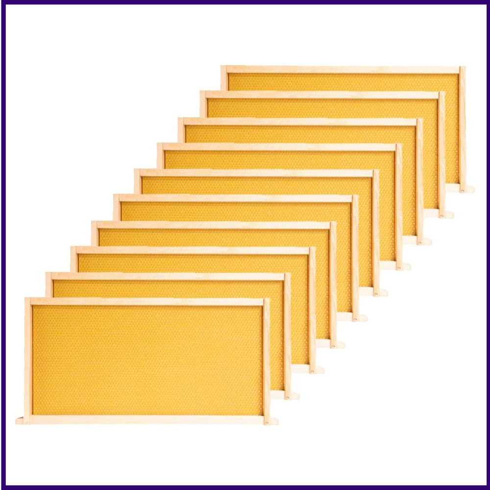 POLLIBEE Deep Brood Bee Hive Frames and Wax Foundations,10 Pack Honey Bee Frames