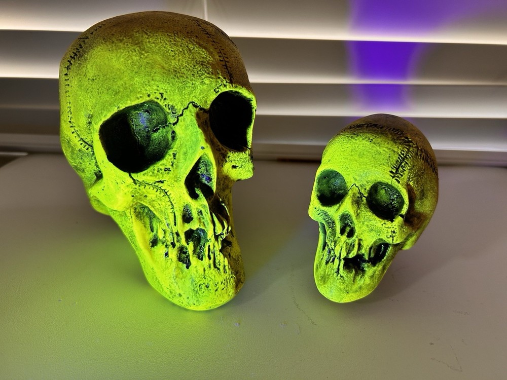 2 EA.RANDOTTI ORIGINAL FLUORESCENT YELLOW LARGE & MEDIUM SKULLS STILL GLOW
