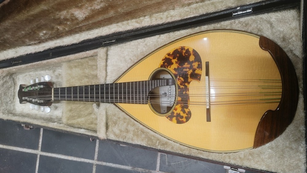 Mandolin ikegaku stringed instrument with case