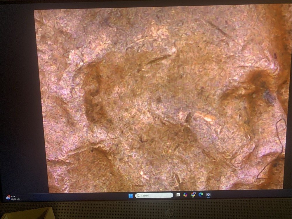 1064 D Lincoln Cent Errors