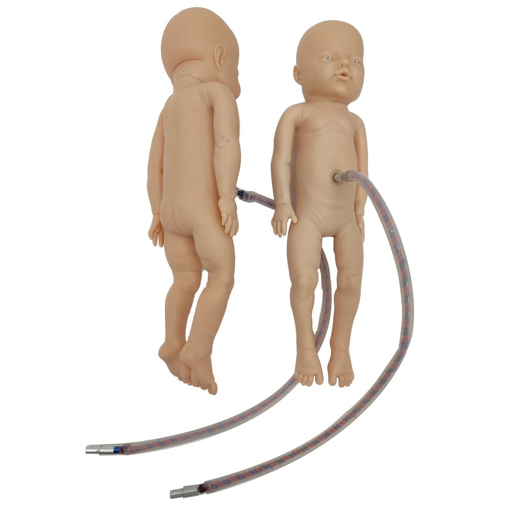 Bsterric Natural Delivery Skill Training Model Simulation Parturition Childbirth