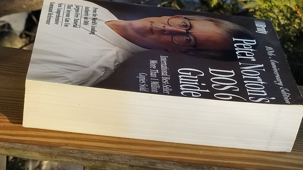 VINTAGE ELECTRONICS BOOK PETER NORTON'S DOS 6 GUIDE