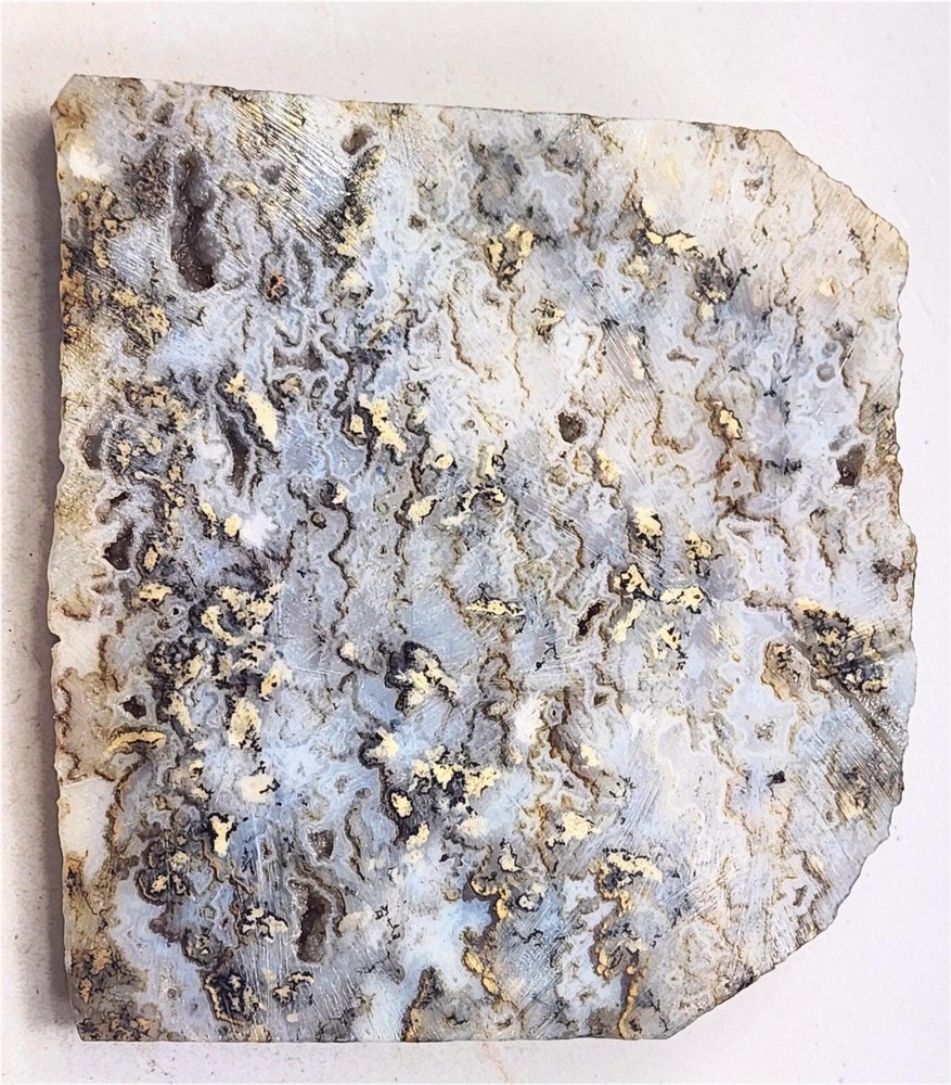 Graveyard Point Plume Agate Large Slab for Cab Cutting Rough