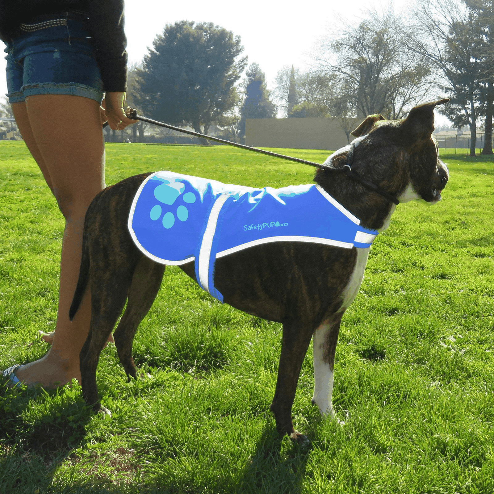 Dog Reflective Vest – Multiple Color Options with Hi Vis Fluorescent Visibility
