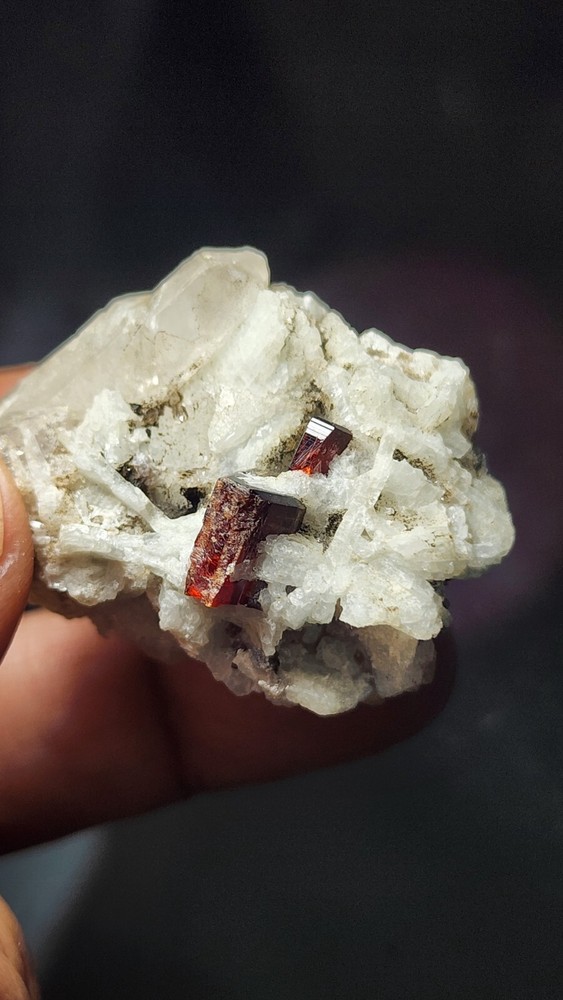 Rare Tantalite Crystal on Quartz with Albite
