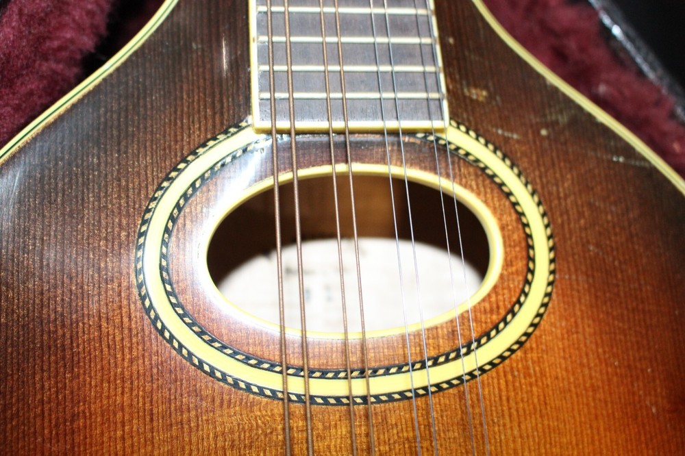 Wayne Henderson John Cephas Mandolin