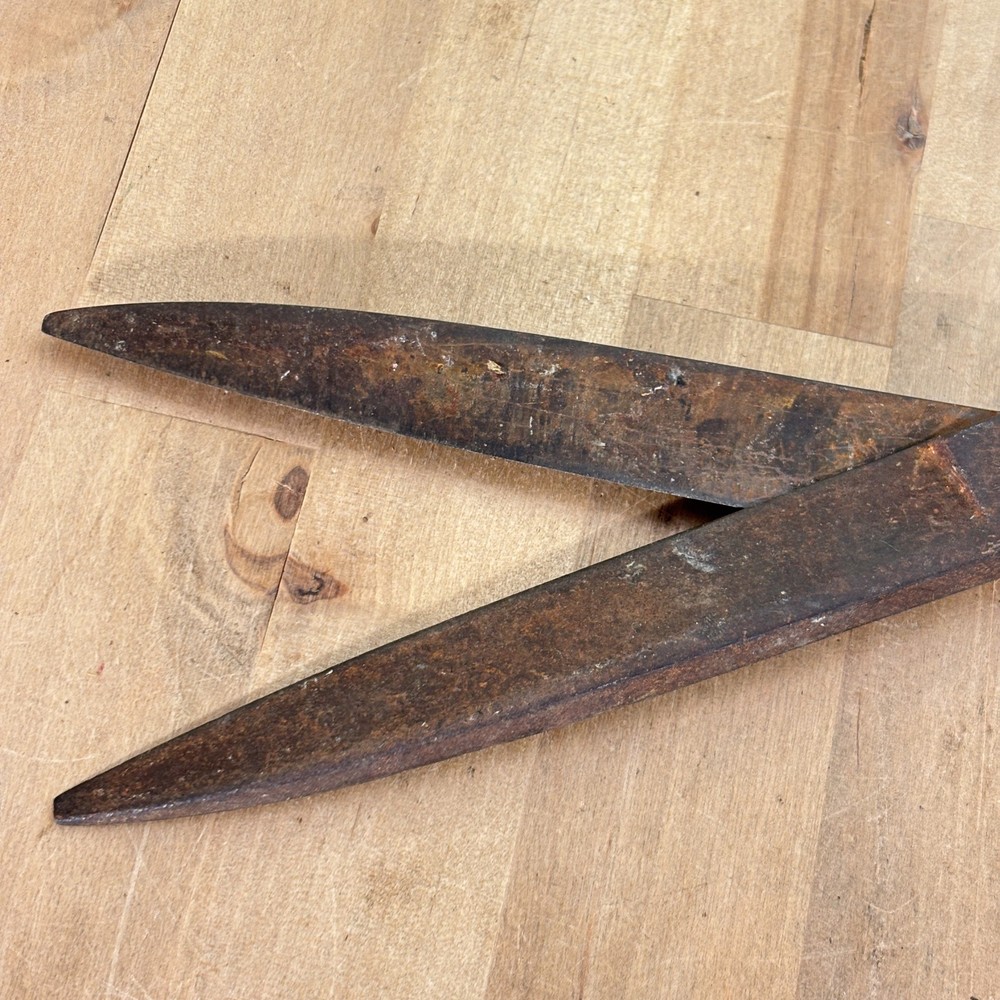 Large Industrial Cutting Shears, Iron, Unmarked, 12"
