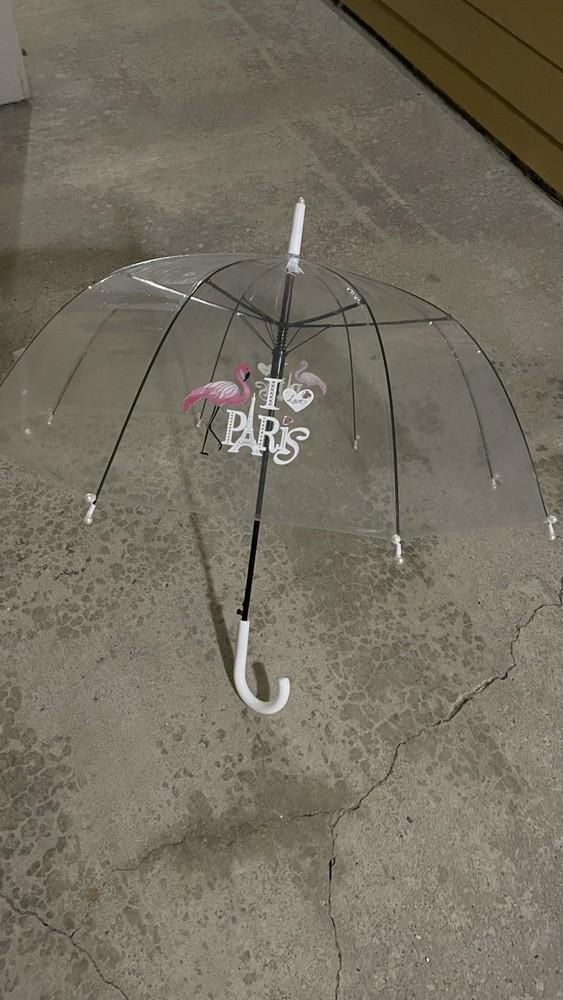 clear paris umbrella